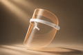 Rayvonia UV/LED Mask
